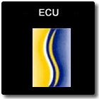 European Chiropractic Union