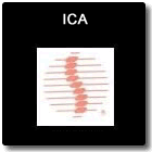 International Chiropractors Association